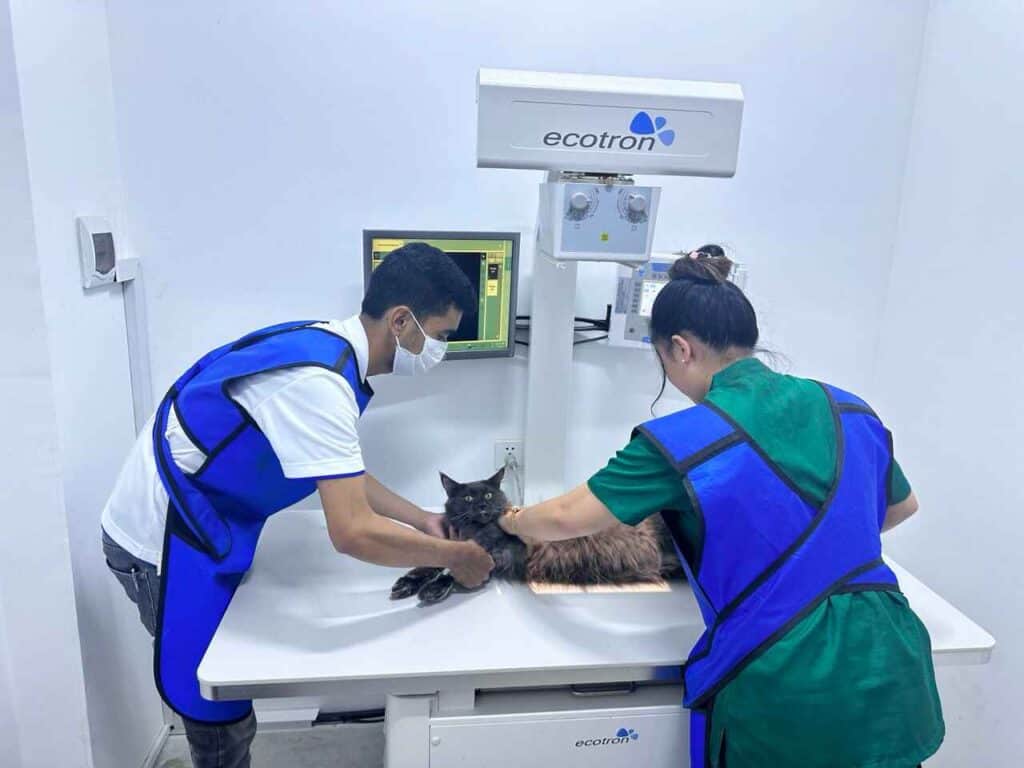 Japan Animal Hospital customer service